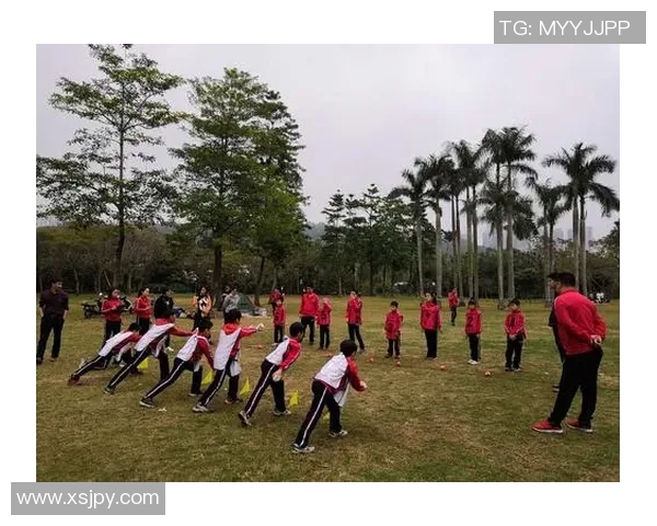 刘敏独家解析足球技巧与战术心得助你提升球技与比赛表现